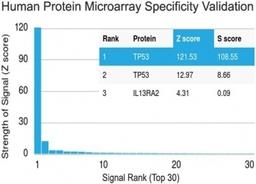 Analysis of HuProt(TM) microarray containing more than 19,000 full-length human proteins using p53 antibody (clone PAb 122). Z- and S- score: The Z-score represents the strength of a signal that an antibody (in combination with a fluorescently-tagged ant