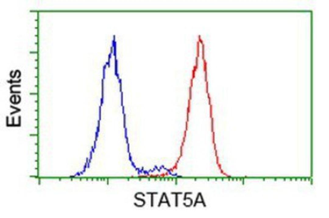 Flow Cytometry: STAT5A Antibody (9F7) [NBP2-00622] - Analysis of Hela cells, using anti-STAT5A antibody, (Red), compared to a nonspecific negative control antibody (Blue).