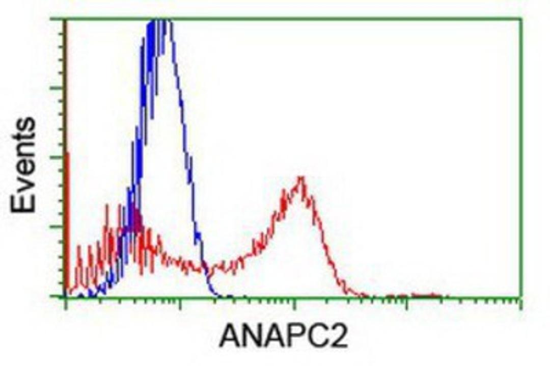 Flow Cytometry: ANAPC2 Antibody (1A6) [NBP2-01128] - HEK293T cells transfected with either overexpression plasmid (Red) or empty vector control plasmid (Blue) were immunostained by anti-ANAPC2 antibody, and then analyzed by flow cytometry.