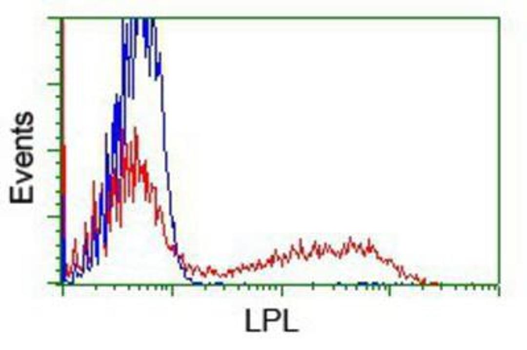 Flow Cytometry: Lipoprotein Lipase/LPL Antibody (3A10) [NBP2-01395] - HEK293T cells transfected with either overexpression plasmid (Red) or empty vector control plasmid (Blue) were immunostained by anti-Lipoprotein lipase antibody, and then analyzed by flow cytometry.