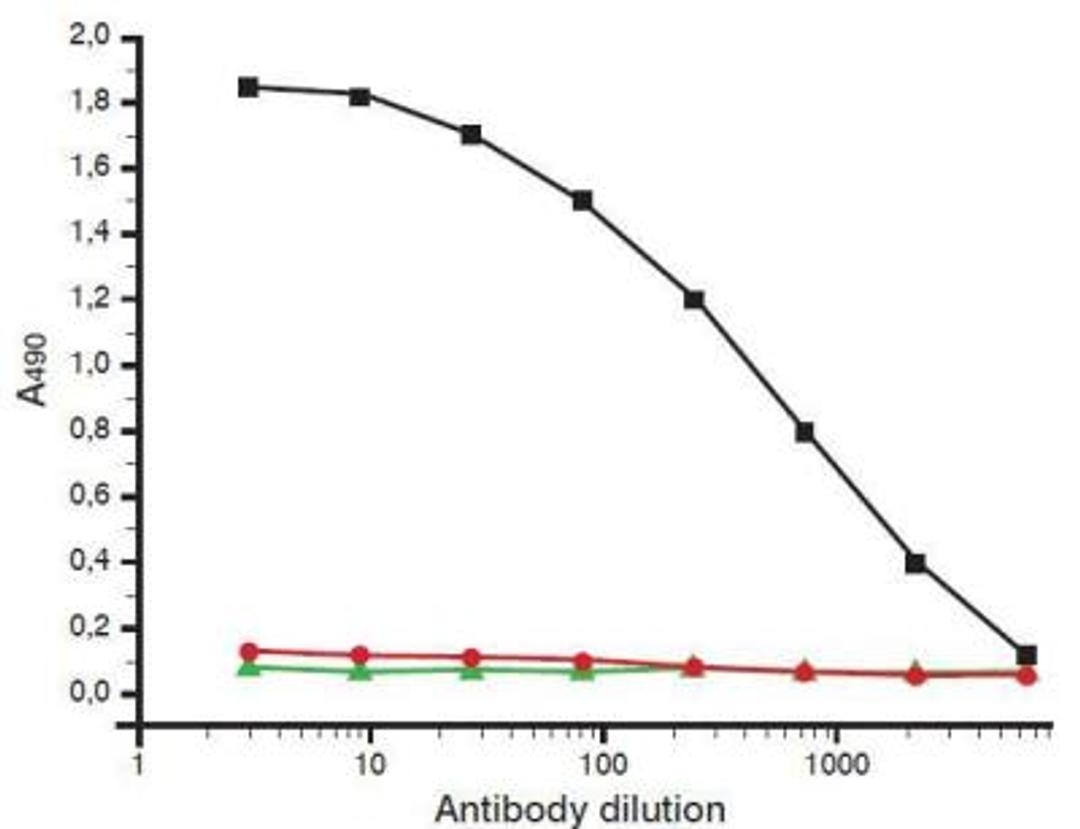 Immunoassay: D-Dimer Antibody (DD1) [NB110-8374] - Titration curves of D-dimer specific monoclonal antibody DD1. Antigen for coating: 200 ng/well ( - D-dimer, - fibrinogen, - D-monomer).