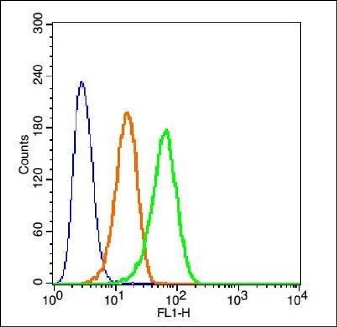 Flow cytometric analysis of Hep G2 Cells using beta Defensin 3 antibody.