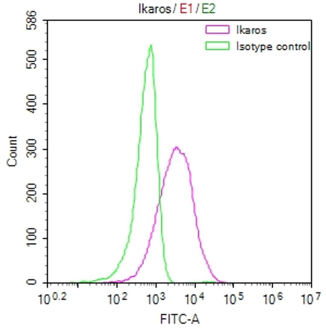 Overlay Peak curve showing Jurkat cells stained with CSB-RA266291A0HU (red line) at 1:50. The cells were fixed in 4% formaldehyde and permeated by 0.2% TritonX-100. Then 10% normal goat serum to block non-specific protein-protein interactions followed by the antibody (1µg/1*10<sup>6</sup>cells) for 45min at 4℃. The secondary antibody used was FITC-conjugated Goat Anti-rabbit IgG(H+L) at 1:200 dilution for 35min at 4℃.Control antibody (green line) was rabbit IgG (1µg/1*10<sup>6</sup>cells) used under the same conditions. Acquisition of >10,000 events was performed.