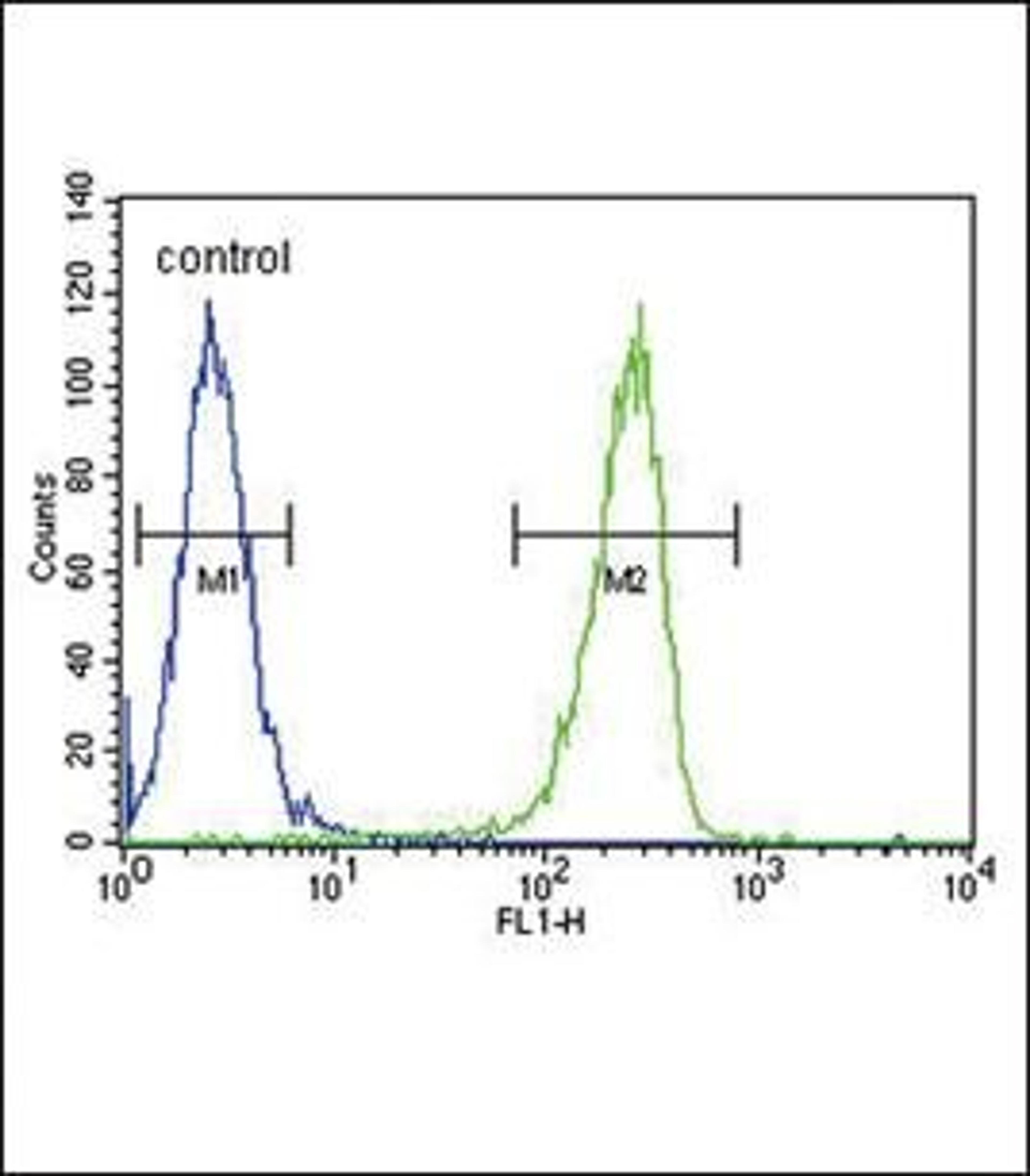 Flow cytometric analysis of A2058 cells using KIR2DS2 antibody (primary antibody dilution at: 1:10-50)