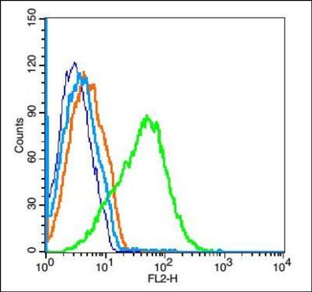 Flow cytometric analysis of U937 cell� using ADRA2C antibody.