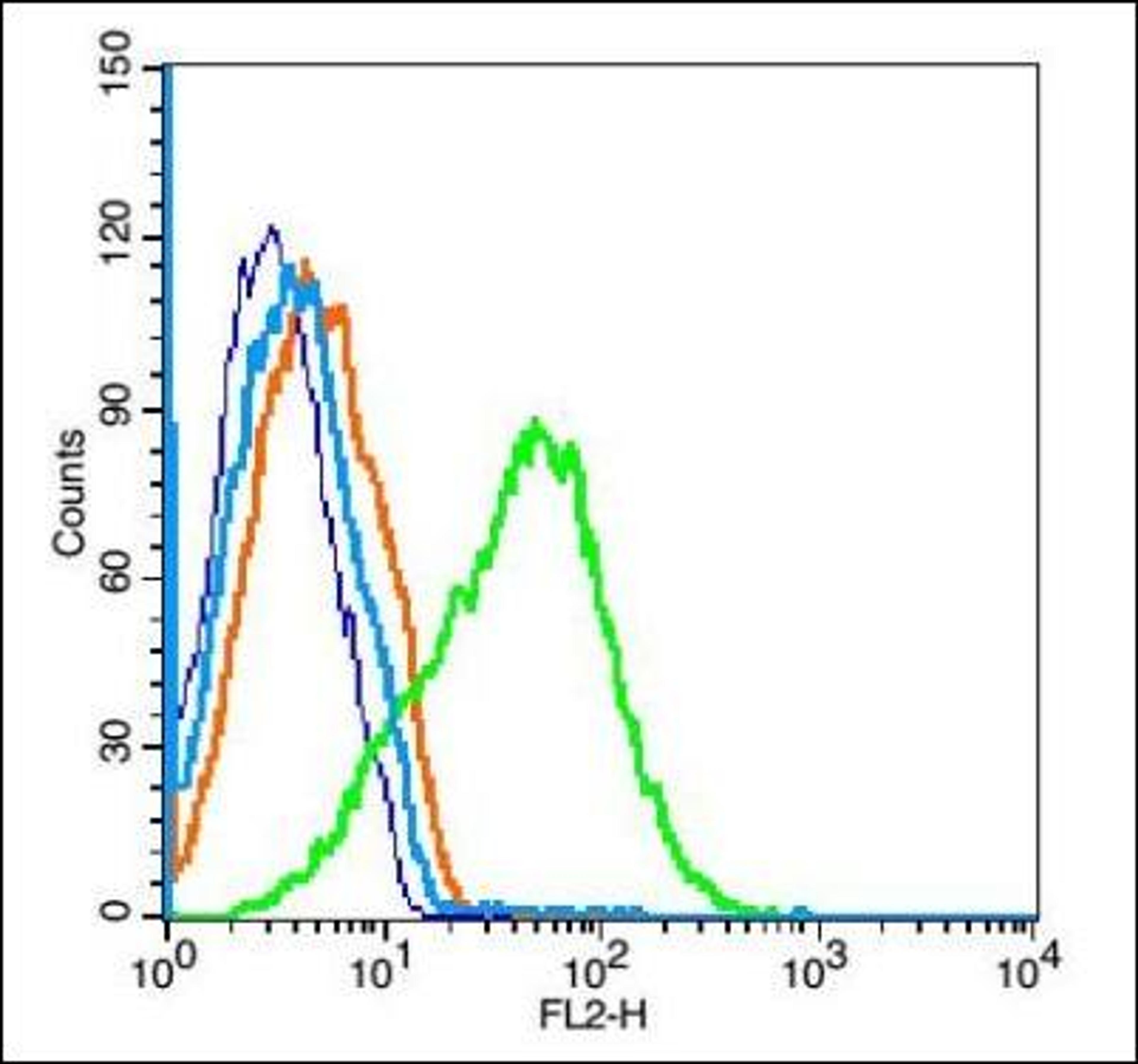 Flow cytometric analysis of U937 cell� using ADRA2C antibody.