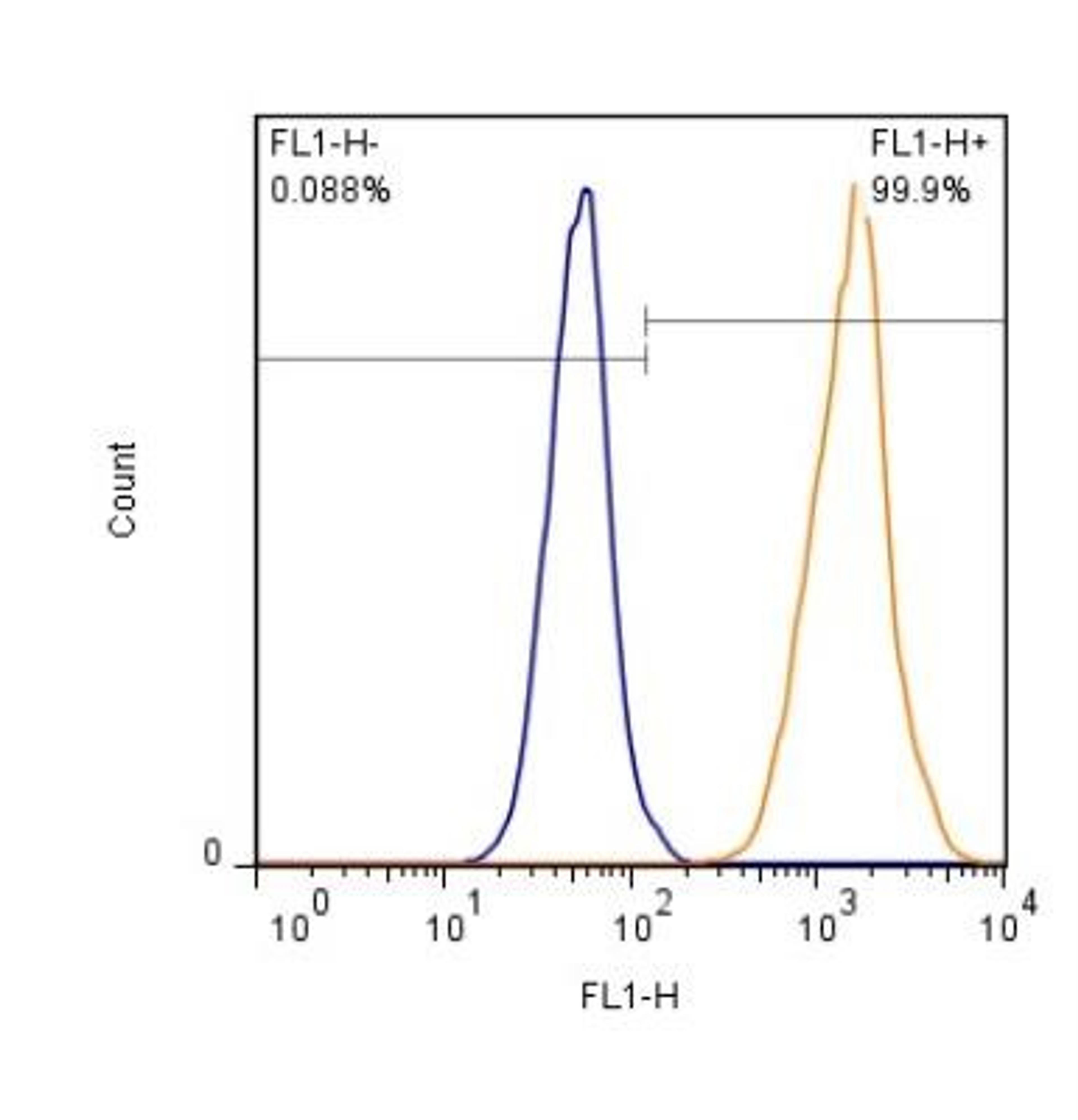 Flow (Intracellular): EAAT1/GLAST-1/SLC1A3 Antibody [NB100-1869] - Analysis using the Alexa Fluor 488 conjugate of NB100-1869. Detection of HEK293 cells (1 x 10^6 cells/ml) with EAAT-1 antibody (orange) stained at a dilution of 1:500. Shown with rIgG (AF488) isotype control (blue).