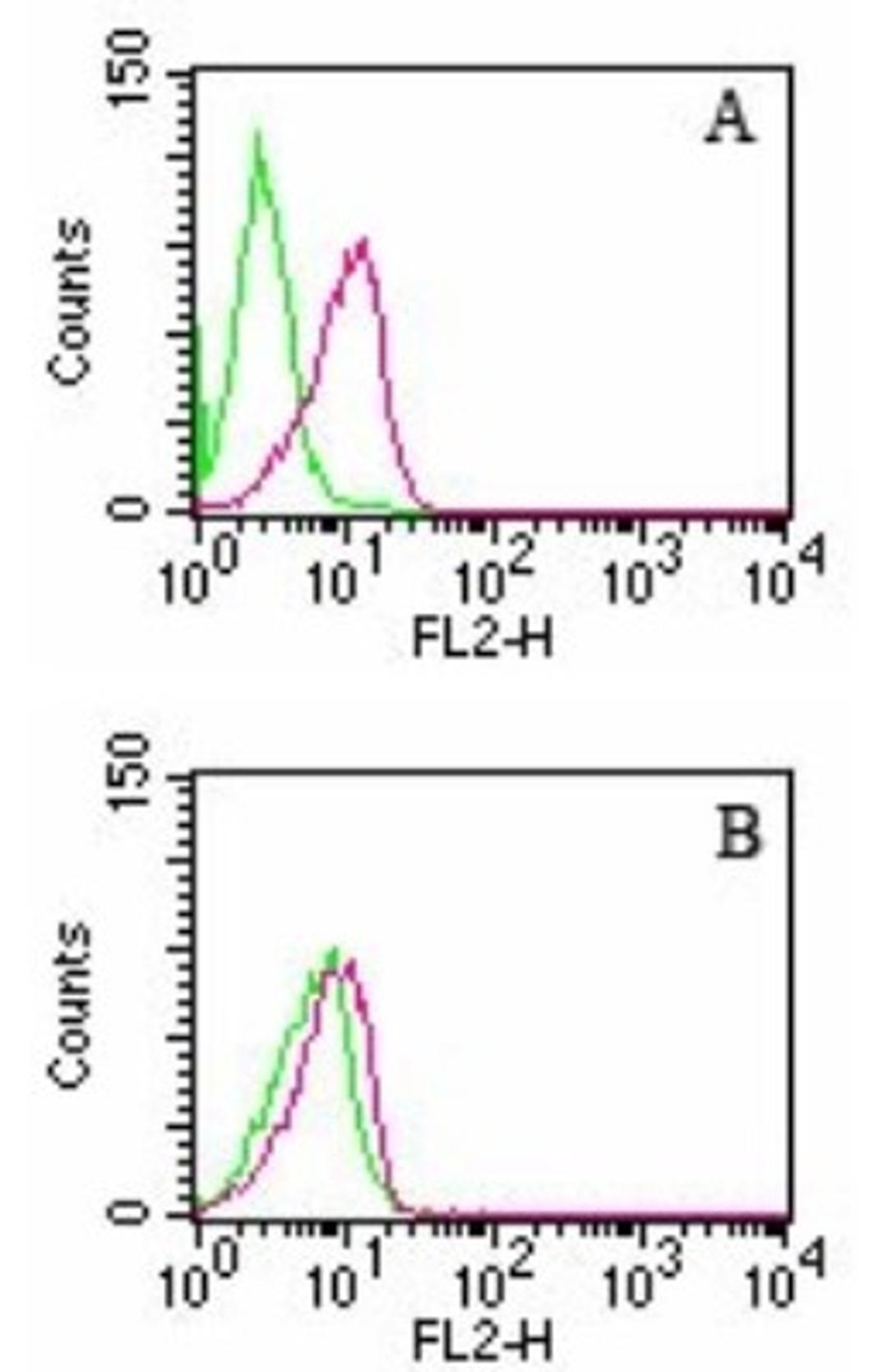 Flow Cytometry: D4-GDI/RhoGDI2 Antibody (10D774) [NB100-56556] - HL60 cells were left untreated (green) or treated with camptothecin to induce apoptosis (red). Cells were analyzed by intracellular flow cytometry using either the NB100-56725 or NB100-56556 D4-GDI antibodies (0.5 ug antibody/test/1 million cells) and Intracellular Staining Flow Assay Kit. A: NB100-56725 which recognizes only cleaved D4-GDI. B: NB100-56556 which recognizes both full-length and cleaved D4-GDI.