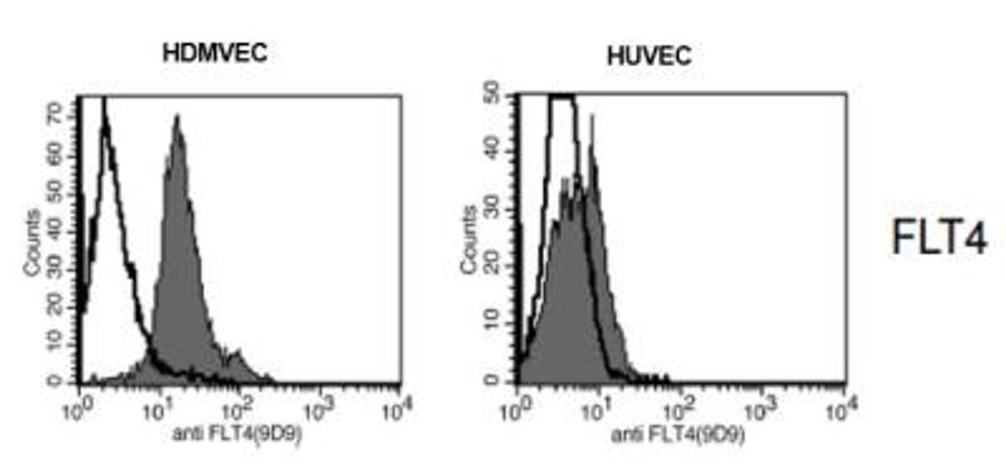 Flow Cytometry: VEGF R3/Flt-4 Antibody (9D9) [NBP1-18651] - Fig. 1: Flow analysis of VEGFR-3/FLT4 expression in primary human dermal mivrovascular endothelial cells (HDMVEC) and human umbilical vein endothelial cells (HUVEC). There is only a very weak expression of VEGFR-3/FLT4 detectable in the HUVECs but a strong one in the HDMVEC.