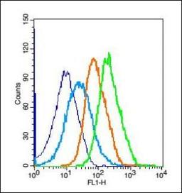 Flow cytometric analysis of mouse splenocyte Cell using GIPR antibody.