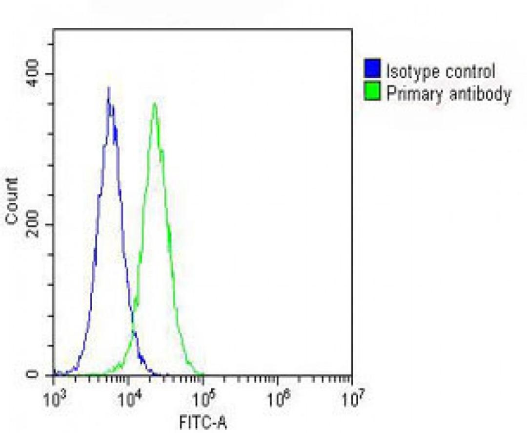 Overlay histogram showing Hela cells stained with Antibody (green line). The cells were fixed with 2% paraformaldehyde (10 min) and then permeabilized with 90% methanol for 10 min. The cells were then icubated in 2% bovine serum albumin to block non-speci