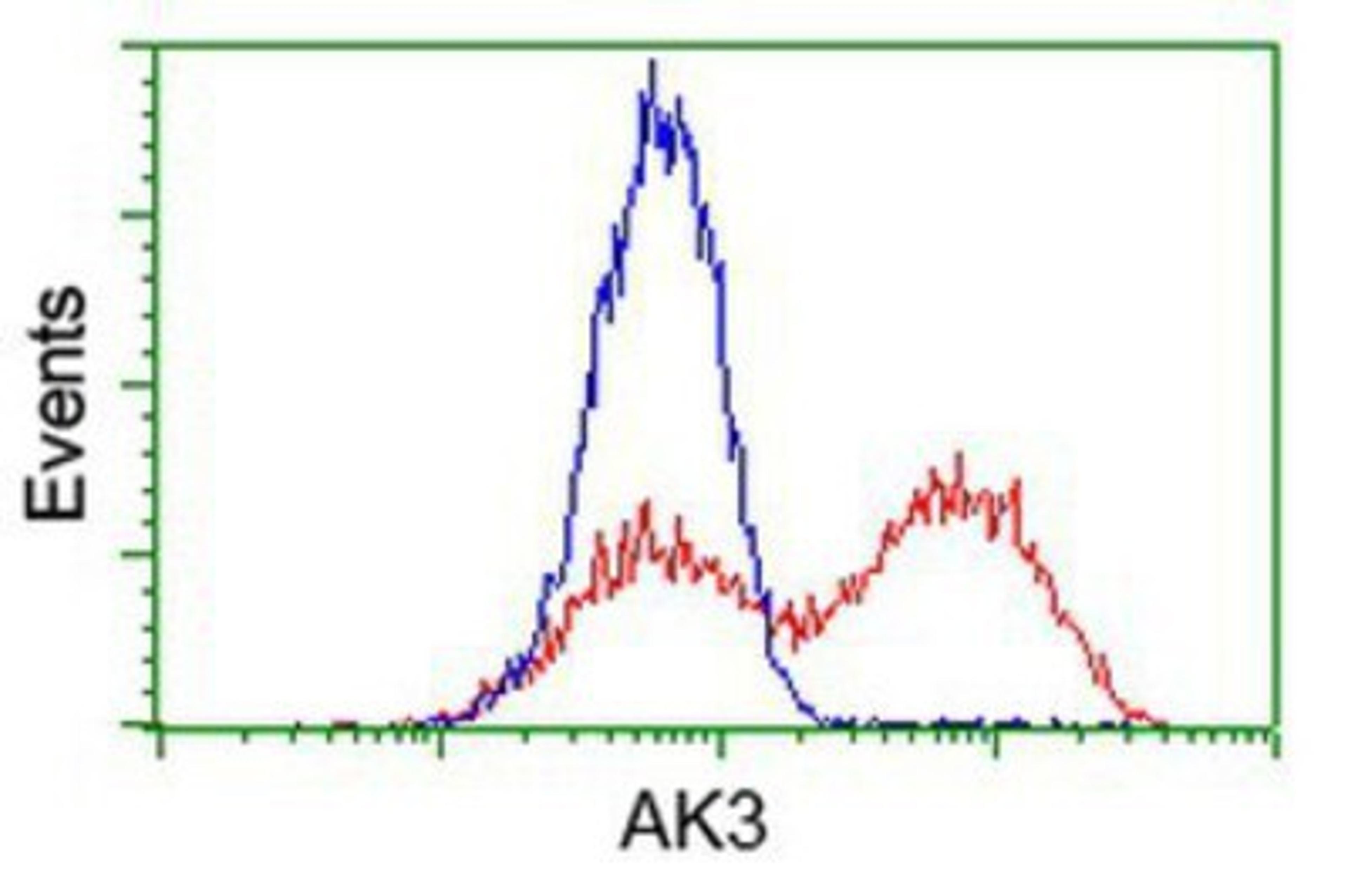 Flow Cytometry: AK3 Antibody (6G4) [NBP2-03154] - HEK293T cells transfected with either overexpression plasmid (Red) or empty vector control plasmid (Blue) were immunostained by anti-AK3 antibody, and then analyzed by flow cytometry.