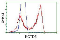 Flow Cytometry: KCTD5 Antibody (3C8) [NBP2-02414] - HEK293T cells transfected with either pCMV6-ENTRY KCTD5.(Red) or empty vector control plasmid (Blue) were immunostained with anti-KCTD5 mouse monoclonal, and then analyzed by flow cytometry.