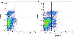 Figure A. rat anti mouse CD4. Figure B. rat anti mouse CD4 andmouse anti mouse CD90. 