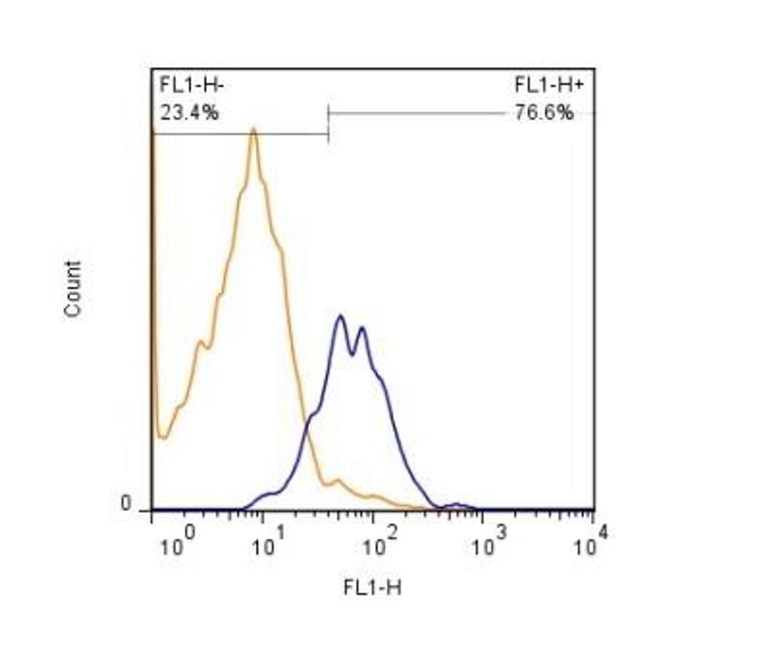 Flow Cytometry: HGF R/c-MET Antibody (1G7NB) [NBP2-44306] - Analysis using the Azide Free version of NBP2-44306. Detection of HeLa cells (1 x 10^6 cells/ml). After fixation and permeabilization, cells were stained using the anti-c-MET antibody (clone 1G7NB) at a 1:1000 dilution. Signal was detected using a Goat anti-Mouse Dylight 488 secondary (blue peak). Shown with secondary control (orange peak). Data was acquired on BD FACSCalibur.