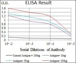 ELISA: PDE1B Antibody (5C4A3) [NBP2-37404] - Red: Control Antigen (100ng); Purple: Antigen (10ng); Green: Antigen (50ng); Blue: Antigen (100ng);