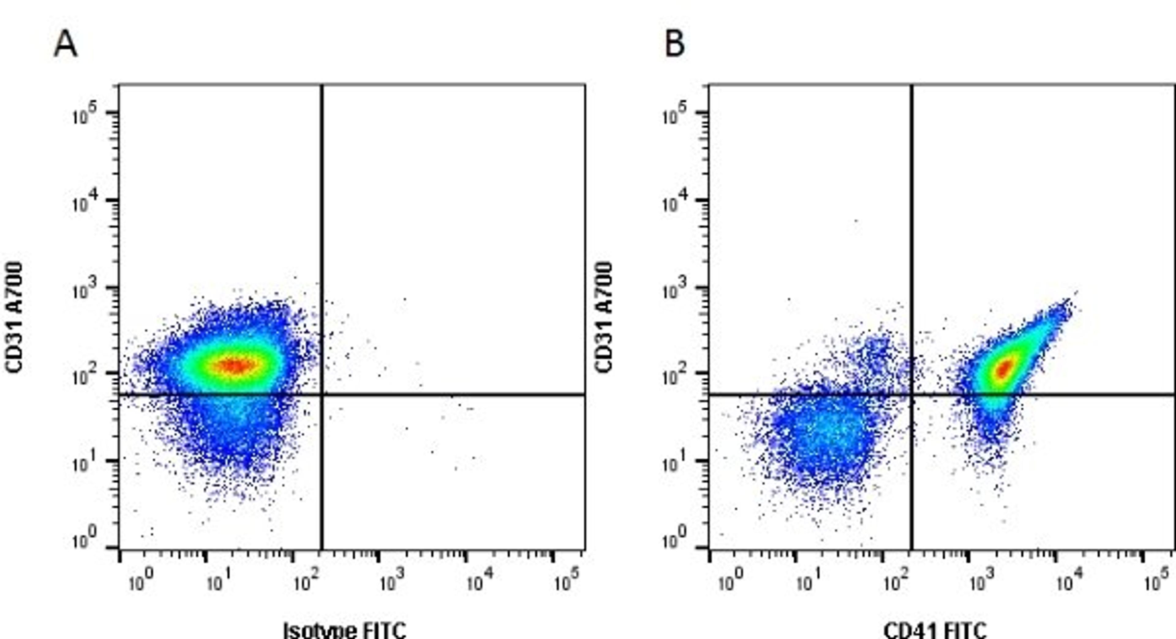 Figure A. Rat anti Mouse CD31. Figure B. Rat anti Mouse CD31 and Rat anti Mouse CD41.