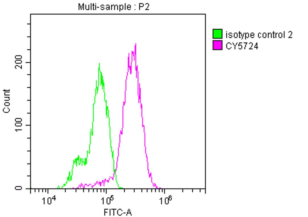 Overlay histogram showing Hela cells stained with CSB-RA288083A0HU (red line) at 1:50. The cells were incubated in 10% normal goat serum to block non-specific protein-protein interactions followedby the antibody (1µg/1*10<sup>6</sup> cells) for 1 h at 4℃.The secondary antibody used was FITC-conjugated goat anti-rabbit IgG (H+L) at 1/200 dilution for 30min at 4℃. Control antibody (green line) was Rabbit IgG (1µg/1*10<sup>6</sup> cells) used under the same conditions. Acquisition of >10,000 events was performed.