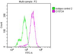 Overlay histogram showing Hela cells stained with CSB-RA288083A0HU (red line) at 1:50. The cells were incubated in 10% normal goat serum to block non-specific protein-protein interactions followedby the antibody (1µg/1*10<sup>6</sup> cells) for 1 h at 4℃.The secondary antibody used was FITC-conjugated goat anti-rabbit IgG (H+L) at 1/200 dilution for 30min at 4℃. Control antibody (green line) was Rabbit IgG (1µg/1*10<sup>6</sup> cells) used under the same conditions. Acquisition of >10,000 events was performed.