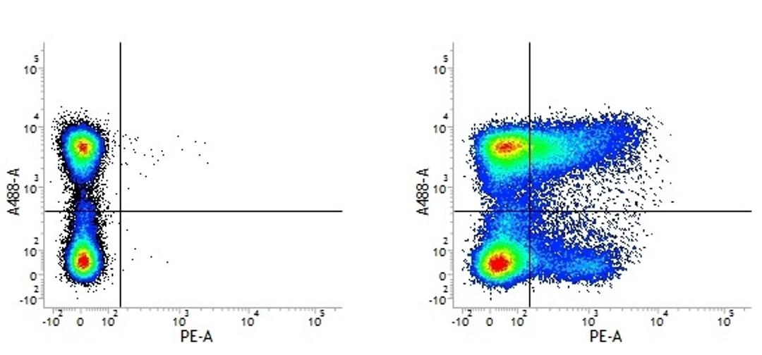 Figure A. Rat anti Mouse CD45R. Figure B. Rat anti Mouse CD45R and Rat anti Mouse CD36. 