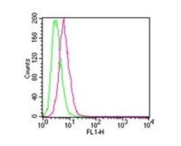 Flow (Intracellular): IKK beta Antibody (10A9B6) [NB100-56513] - Analysis using the Alexa Fluor (R) 488 conjugate of NB100-56513. Staining of IKK in HEK 293 cells using 0.1 ug of this antibody. Green histogram represents the isotype control , red represents the IKK antibody.