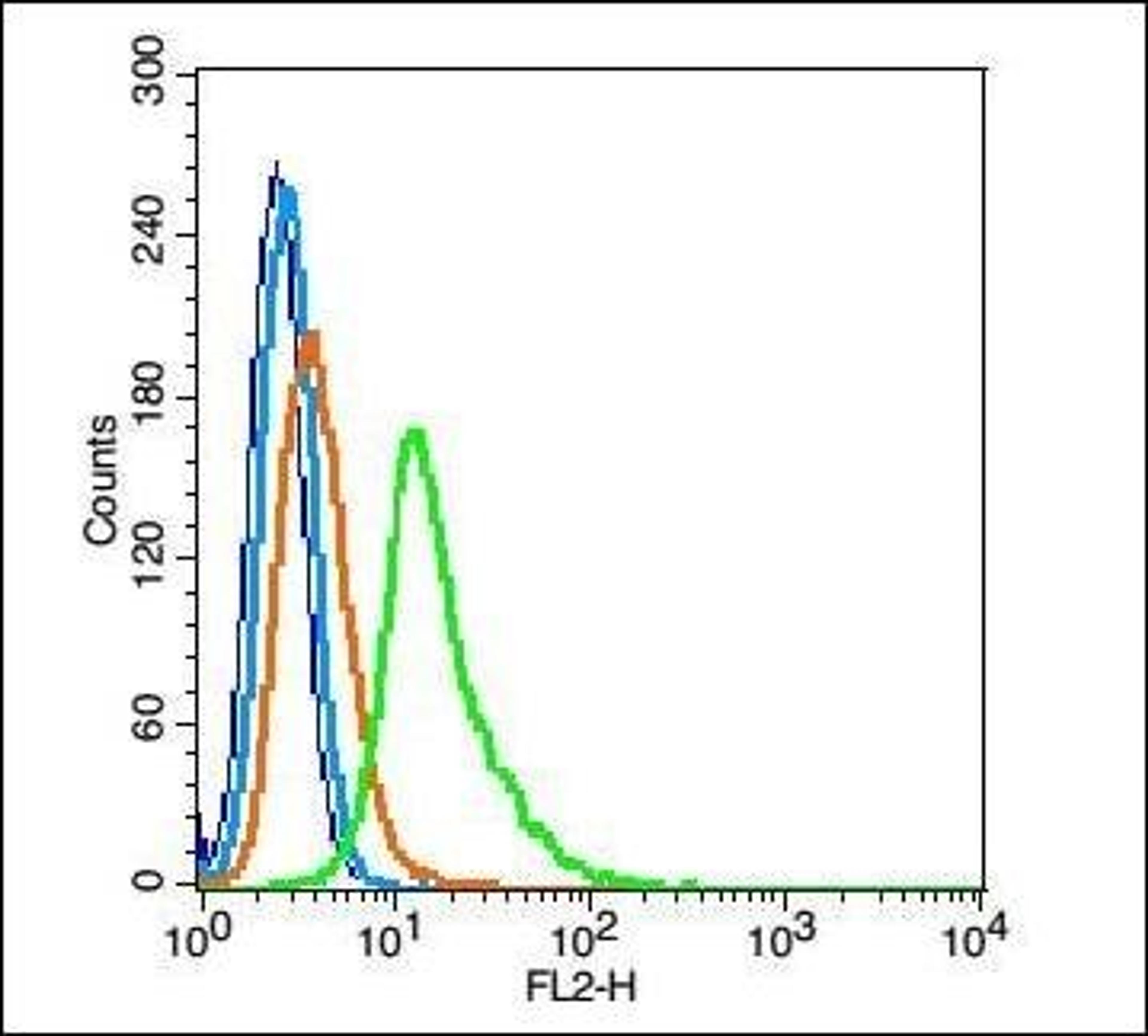 Flow cytometric analysis of Rsc96 cell using BRN3B antibody.