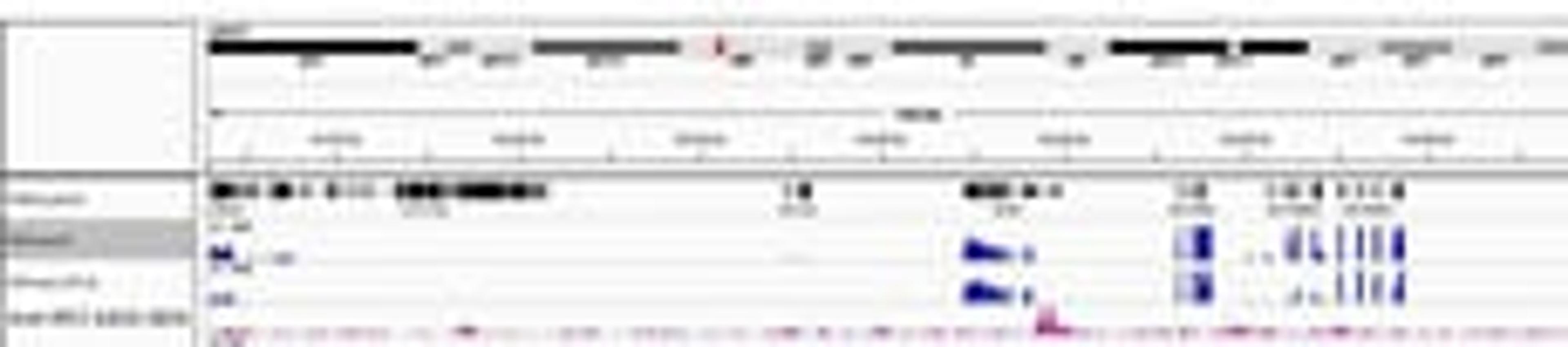 Localization of IRF2 binding sites by ChIP-Sequencing.