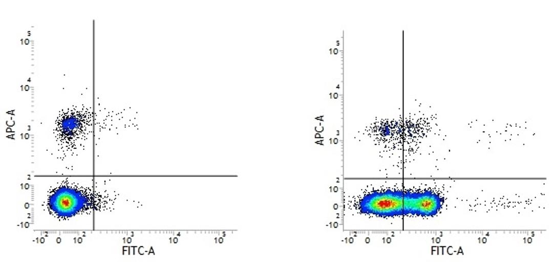 Figure A.Mouse anti Human CD19 and Armenian Hamster IgG isotype control. 