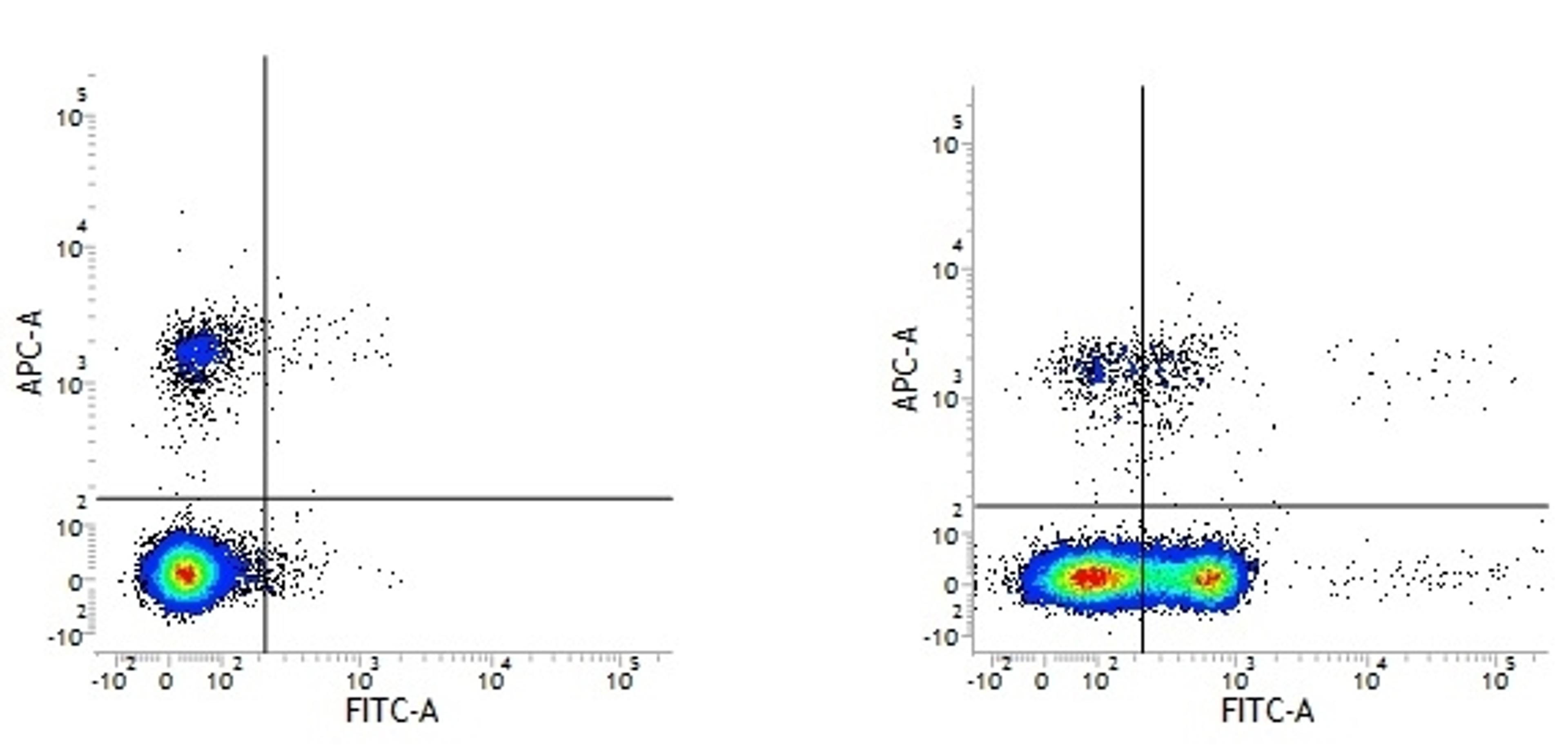 Figure A.Mouse anti Human CD19 and Armenian Hamster IgG isotype control.
