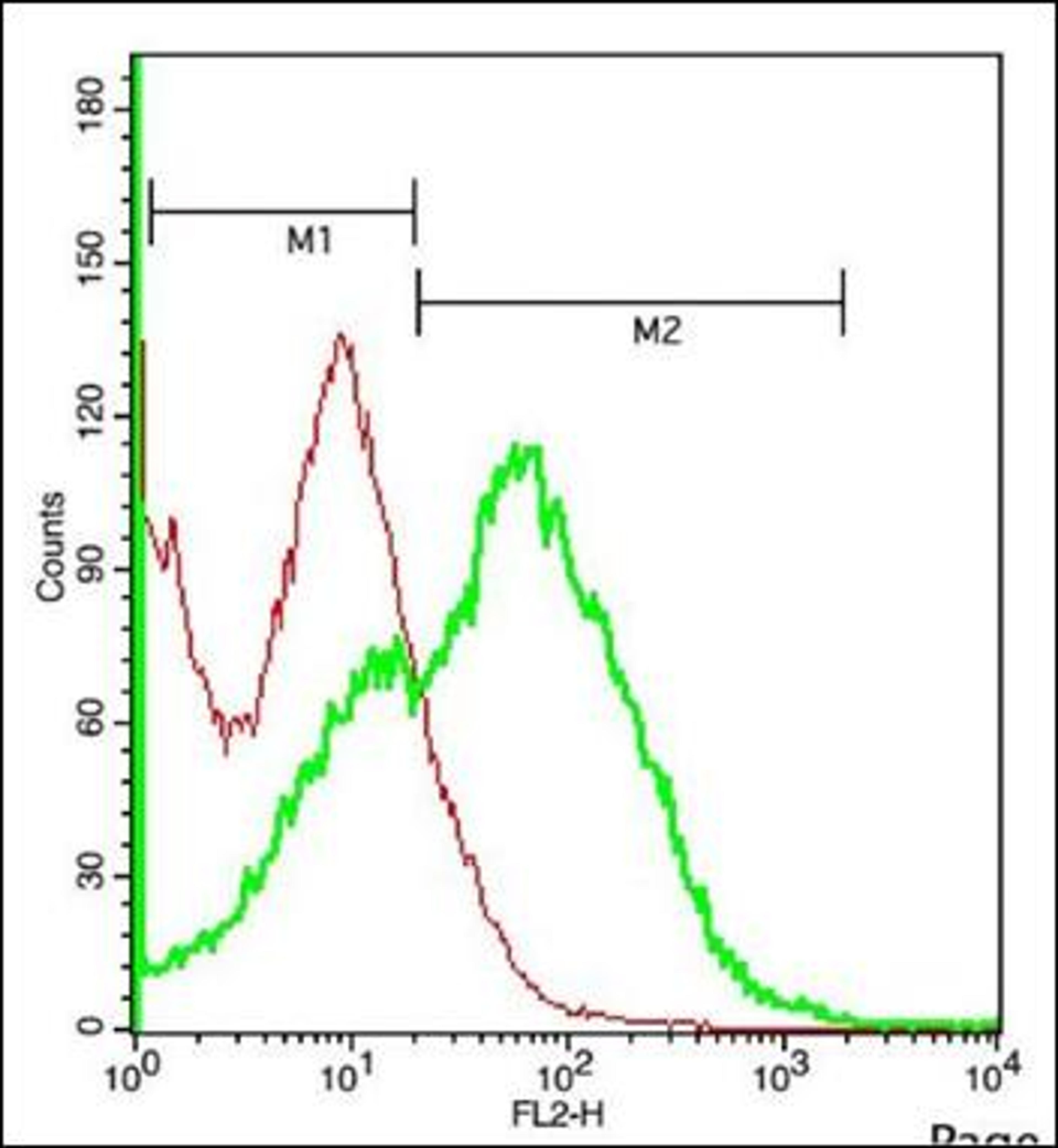 Flow cytometric analysis of spleen cell using capsid protein antibody.