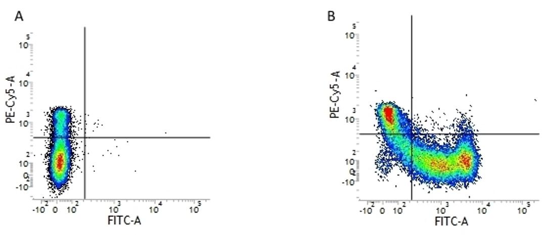 Figure A. mouse anti human CD45RO. Figure B. mouse anti human CD45RO and mouse anti human CD45RA