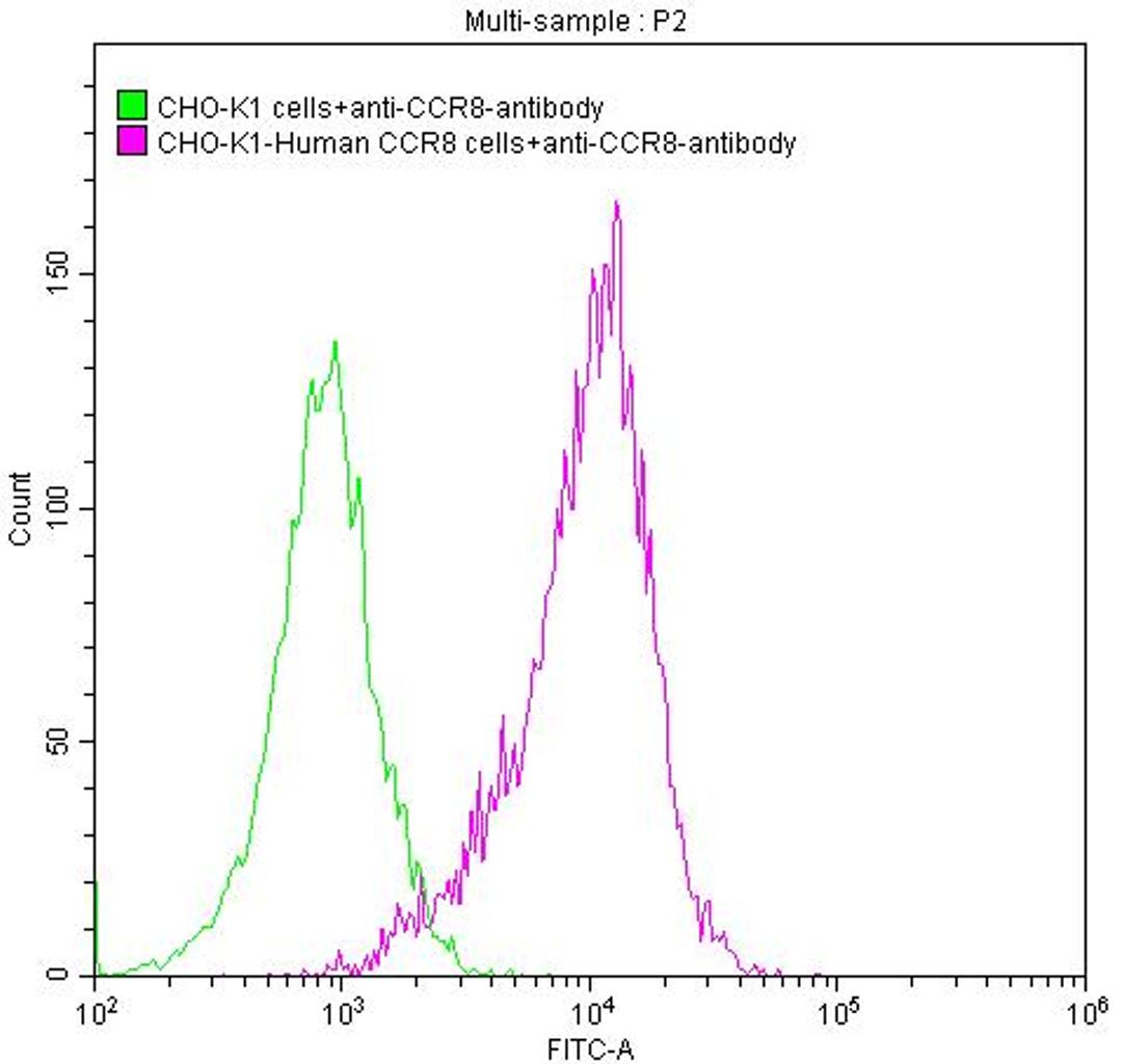 Untransfected CHO-K1 cells (green line) and transfected Human CCR8 CHO-K1 stable cells (red line) were stained with anti-CCR8 antibody (2µg/1*10<sup>6</sup>cells), washed and then followed by FITC-conjugated anti-Human IgG Fc antibody and analyzed with flow cytometry.
