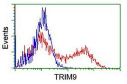 Flow Cytometry: TRIM9 Antibody (2D6) [NBP2-03794] - HEK293T cells transfected with either overexpression plasmid (Red) or empty vector control plasmid (Blue) were immunostained by anti-TRIM9 antibody, and then analyzed by flow cytometry.