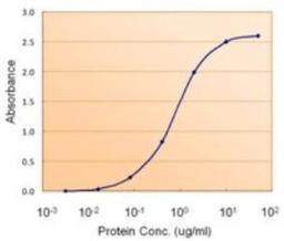 ELISA: PAX4 Antibody [NBP1-49863] - (1.5ug/ml) as the reporter used with the capture rabbit antibody (5ug/ml)