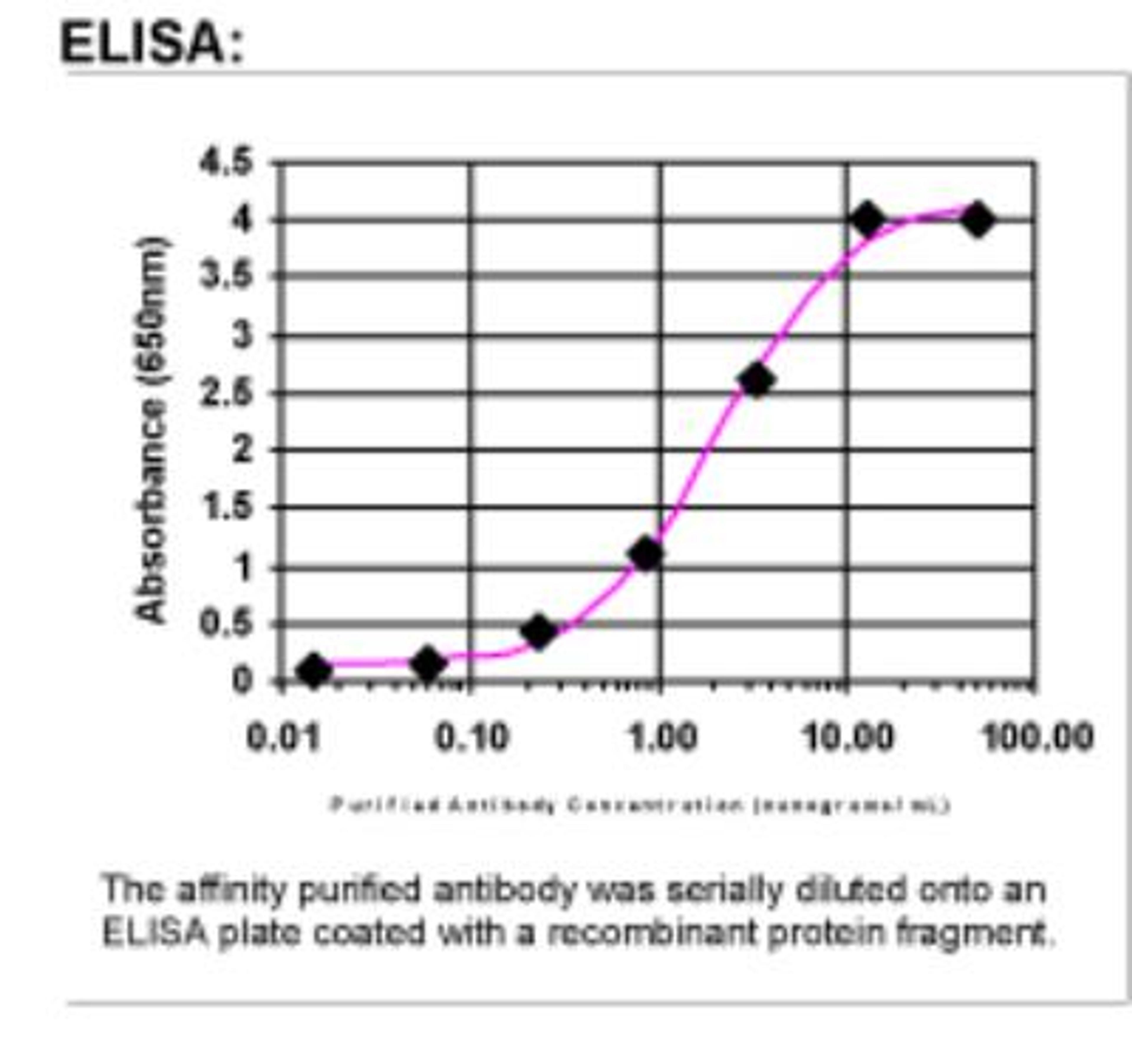 ELISA: VEGF-B Antibody [27220002]