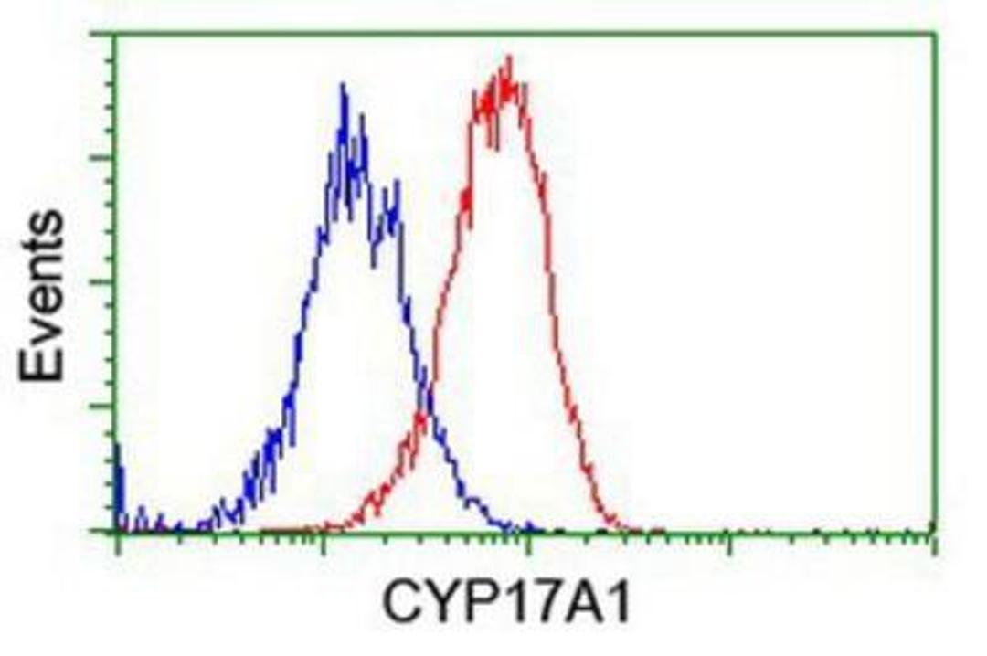 Flow Cytometry: Cytochrome P450 17A1 Antibody (3F11) [NBP2-01151] - Analysis of Hela cells, using anti-Cytochrome P450 17A1 antibody, (Red), compared to a nonspecific negative control antibody (Blue).