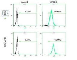 Flow Cytometry: HPa1 Antibody (DHIC2-2C12) [NBP1-18949] - Analysis using the DyLight 550 conjugate of NBP1-18949. Staining of KB, KB-VCR. Fixed in 4% paraformaldehyde.