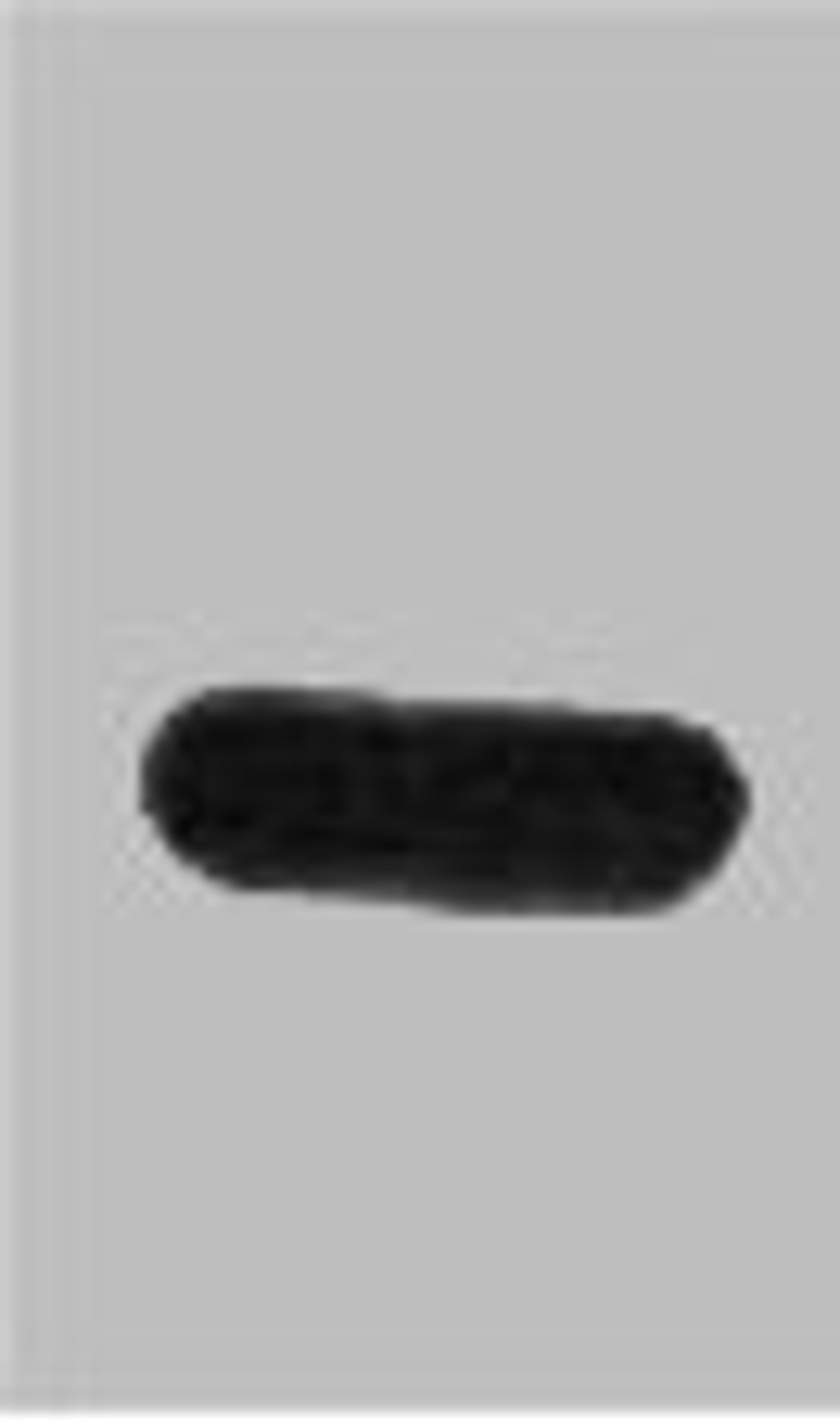 Western blot analysis of TAP recombinant protein, diluted at 1:5000.