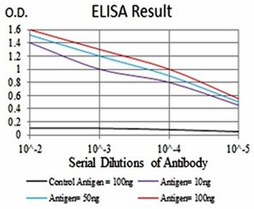 ELISA Black line: Control Antigen (100 ng); Purple line: Antigen(10ng); Blue line: Antigen (50 ng); Red line: Antigen (100 ng)