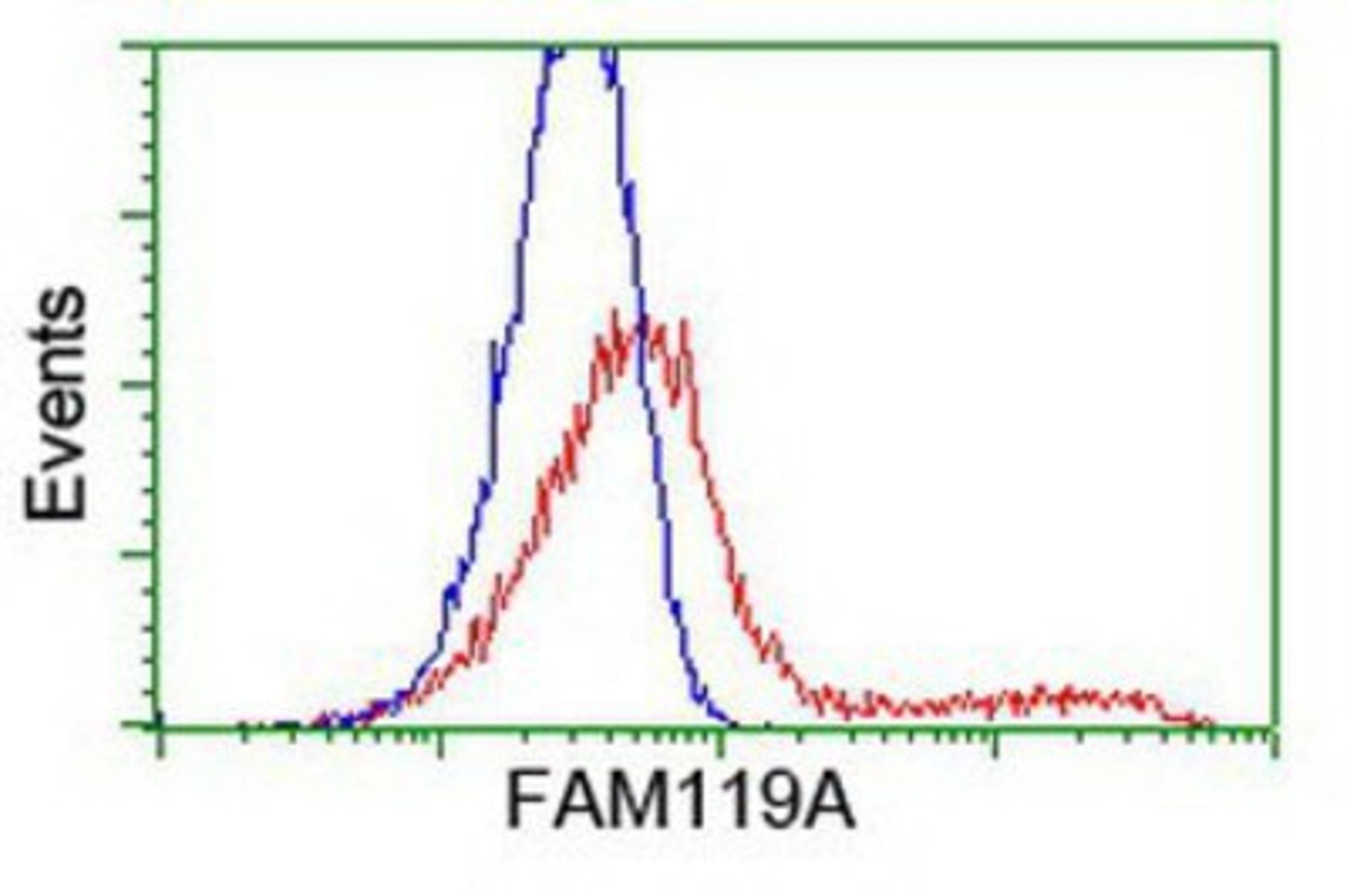 Flow Cytometry: FAM119A Antibody (2G7) [NBP2-01334] - HEK293T cells transfected with either overexpression plasmid (Red) or empty vector control plasmid (Blue) were immunostained by anti-FAM119A antibody, and then analyzed by flow cytometry.