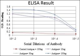 ELISA: AMPK alpha 1 Antibody (2B7) [NBP2-22127] - Red: Control Antigen (100ng); Purple: Antigen (10ng); Green: Antigen (50ng); Blue: Antigen (100ng).