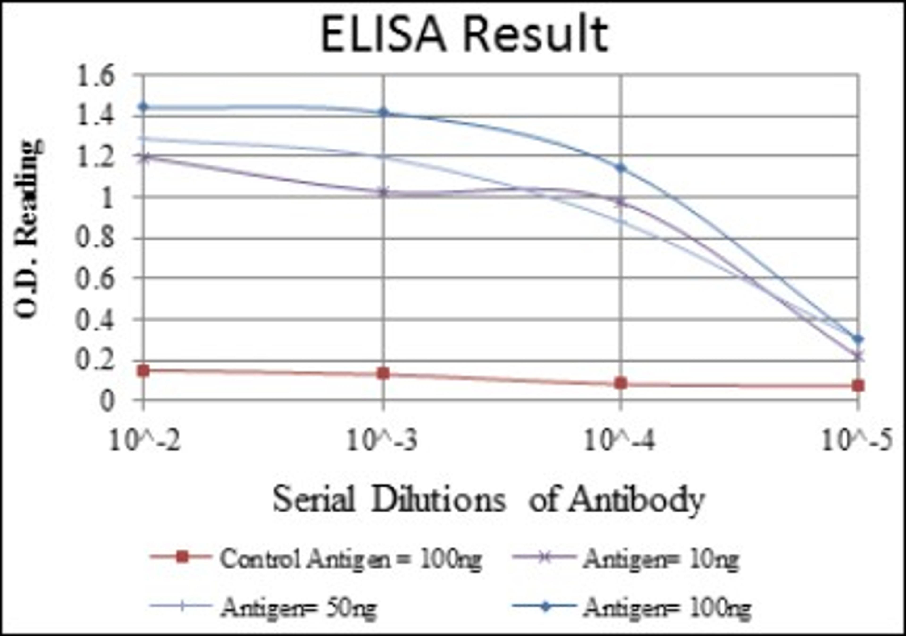 ELISA: AMPK alpha 1 Antibody (2B7) [NBP2-22127] - Red: Control Antigen (100ng); Purple: Antigen (10ng); Green: Antigen (50ng); Blue: Antigen (100ng).