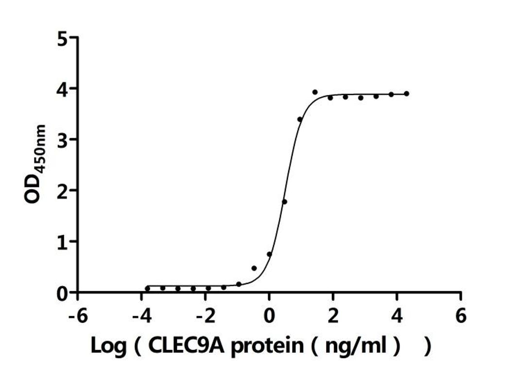 The Binding Activity of Human CLEC9A with Anti-CLEC9A recombinant antibody. Activity: Measured by its binding ability in a functional ELISA. Immobilized Anti-CLEC9A recombinant antibody at 2 μg/mL can bind Human CLEC9A protein (CSB-MP740922HU-B). The EC<sub>50</sub> is 2.915-3.520 ng/mL.