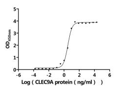The Binding Activity of Human CLEC9A with Anti-CLEC9A recombinant antibody. Activity: Measured by its binding ability in a functional ELISA. Immobilized Anti-CLEC9A recombinant antibody at 2 μg/mL can bind Human CLEC9A protein (CSB-MP740922HU-B). The EC<sub>50</sub> is 2.915-3.520 ng/mL.