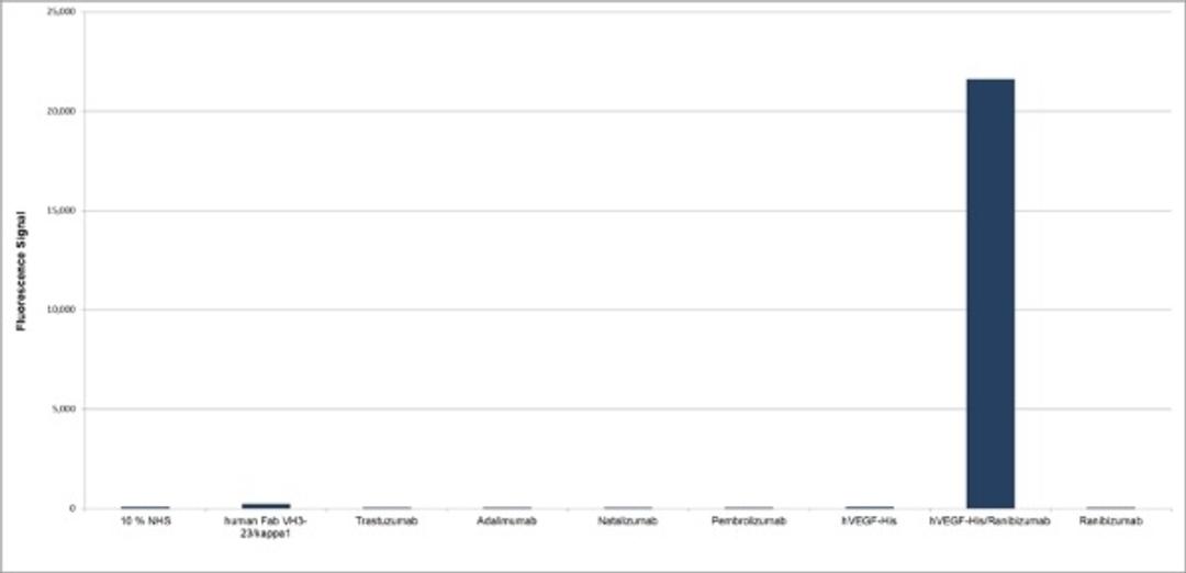 Human Anti-Ranibizumab Antibody specificity titration ELISA