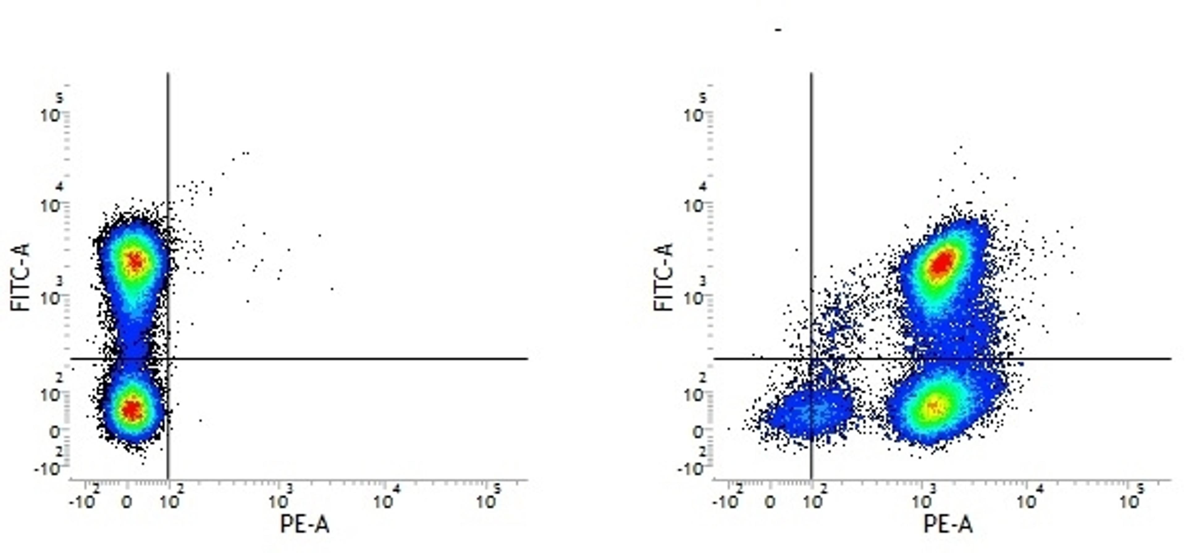 Figure A. Rat anti Mouse CD45R. Figure B. Rat anti Mouse CD45R and Rat anti Mouse CD48.