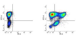 Image A. Mouse anti Human CD66b. Image B. Mouse anti Human CD66b and Mouse anti Human CD177. 