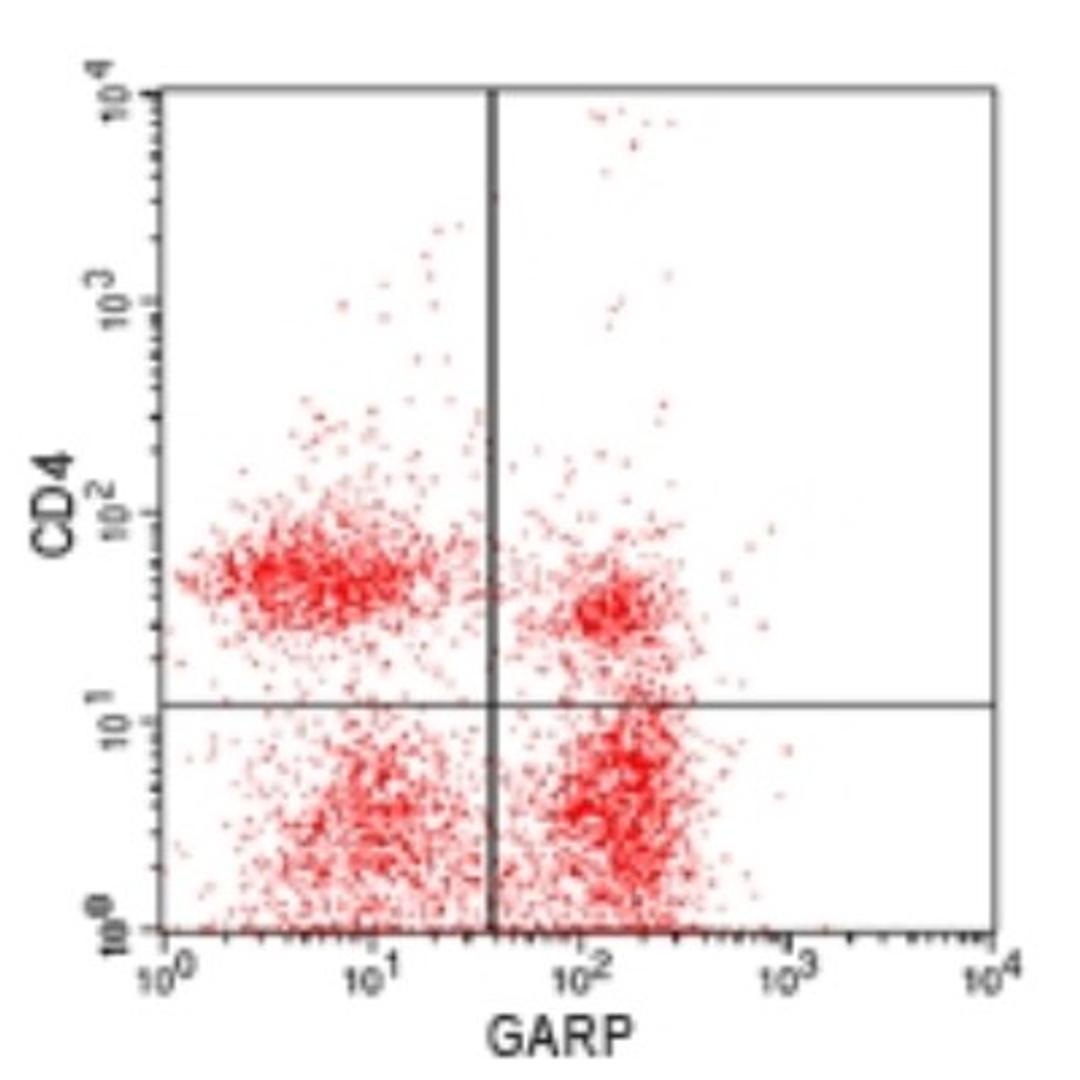 Flow Cytometry: LRRC32 Antibody [NBP2-24664] - BALB/c splenocytes stained with anti-GARP (NBP2-24664), with a FITC conjugated secondary (20302), and anti-mouse CD4 PE (IMG-5922D). Viable cells in the lymphocyte gate were used for analysis. Novus's cell surface flow kit (10084K) was used for this test .