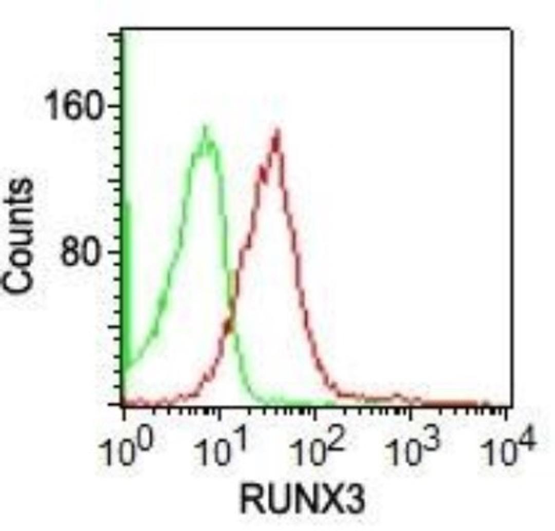 Flow Cytometry: RUNX3 Antibody (2B10E8) [NBP2-22391] - Intracellular flow analysis of human lymphocytes probed with Runx3 antibody (red) and isotype control (green) at 0.25 ug/10^6 cells.