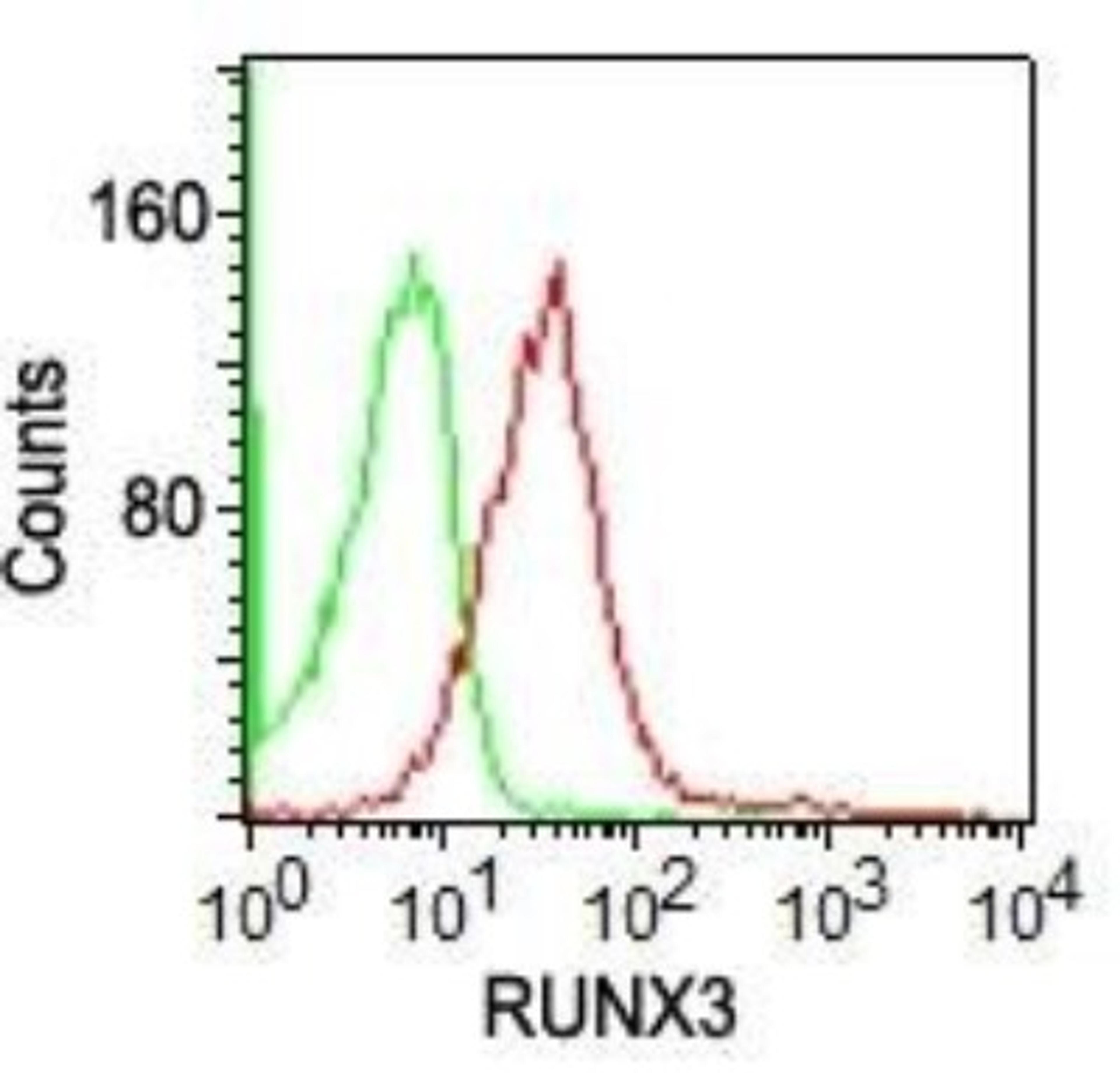 Flow Cytometry: RUNX3 Antibody (2B10E8) [NBP2-22391] - Intracellular flow analysis of human lymphocytes probed with Runx3 antibody (red) and isotype control (green) at 0.25 ug/10^6 cells.